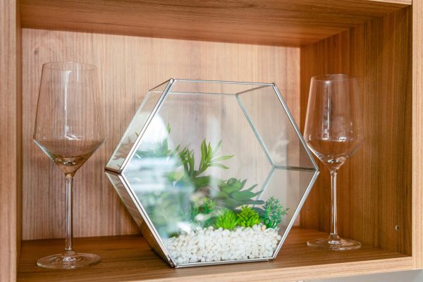 Splendid Holiday Rentals