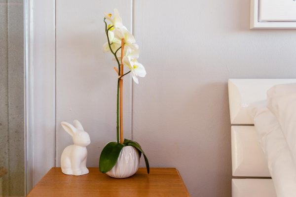 Splendid Holiday Rentals